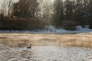 Outdoor Swimming Pool Winter Care