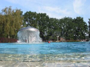 Outdoor Pool Fencing Ideas: Stylish, Safe & Functional Designs