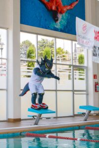 How to Maintain Indoor Pool Water Quality: Tips for Clean, Safe Swimming