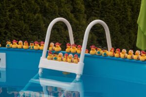 Indoor Swimming Pool Cleaning Tips: Keep Your Pool Sparkling All Year