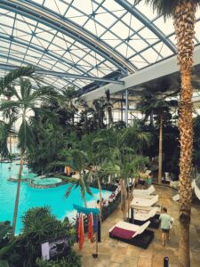 How to Prevent Mold in Indoor Swimming Pools | Tips for Cleaner, Healthier Pools