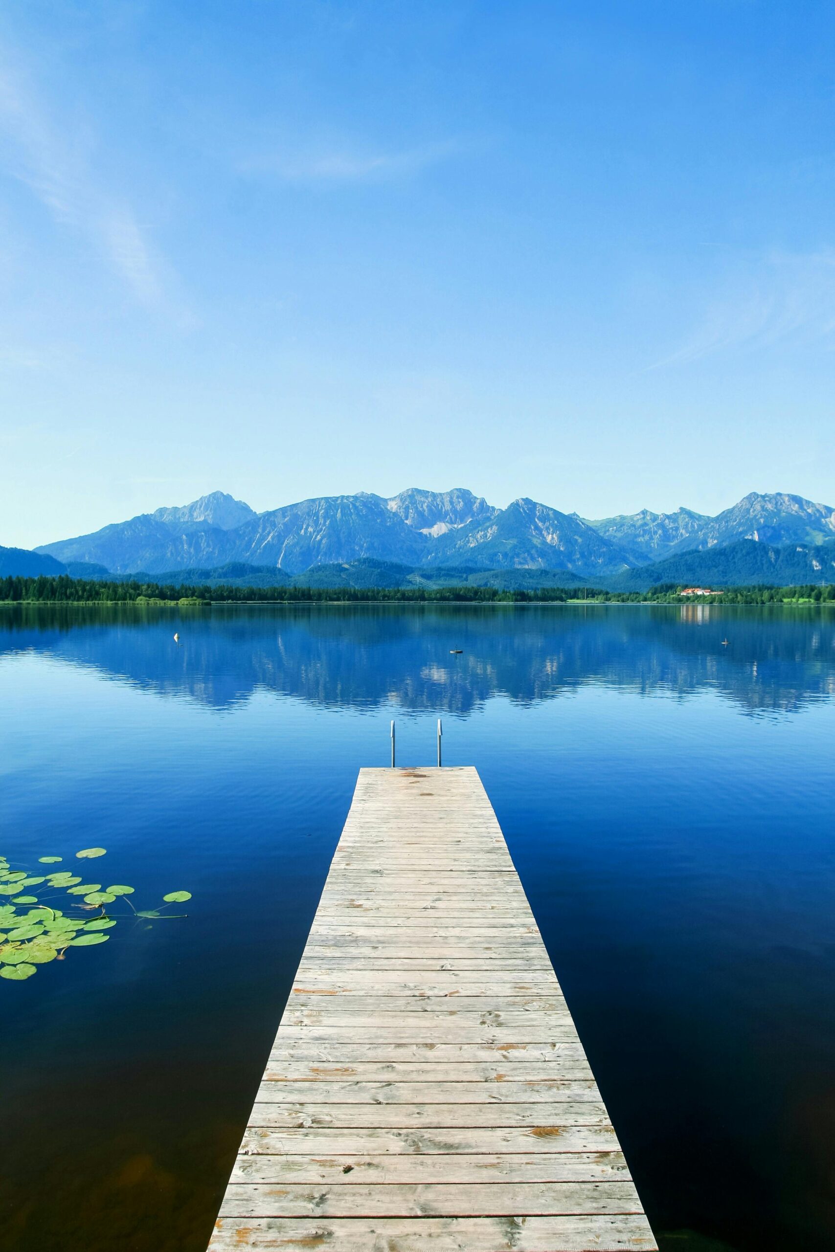 Removing Debris from Outdoor Pools: Easy Maintenance Tips for Clear Water