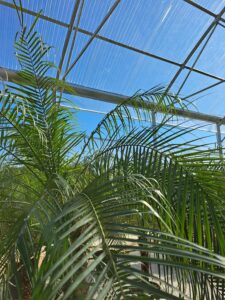 Pool Enclosure Climate Control Systems: A Complete Guide