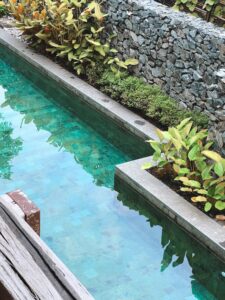 Garden Swimming Pool Designs, Costs & Installation Guide