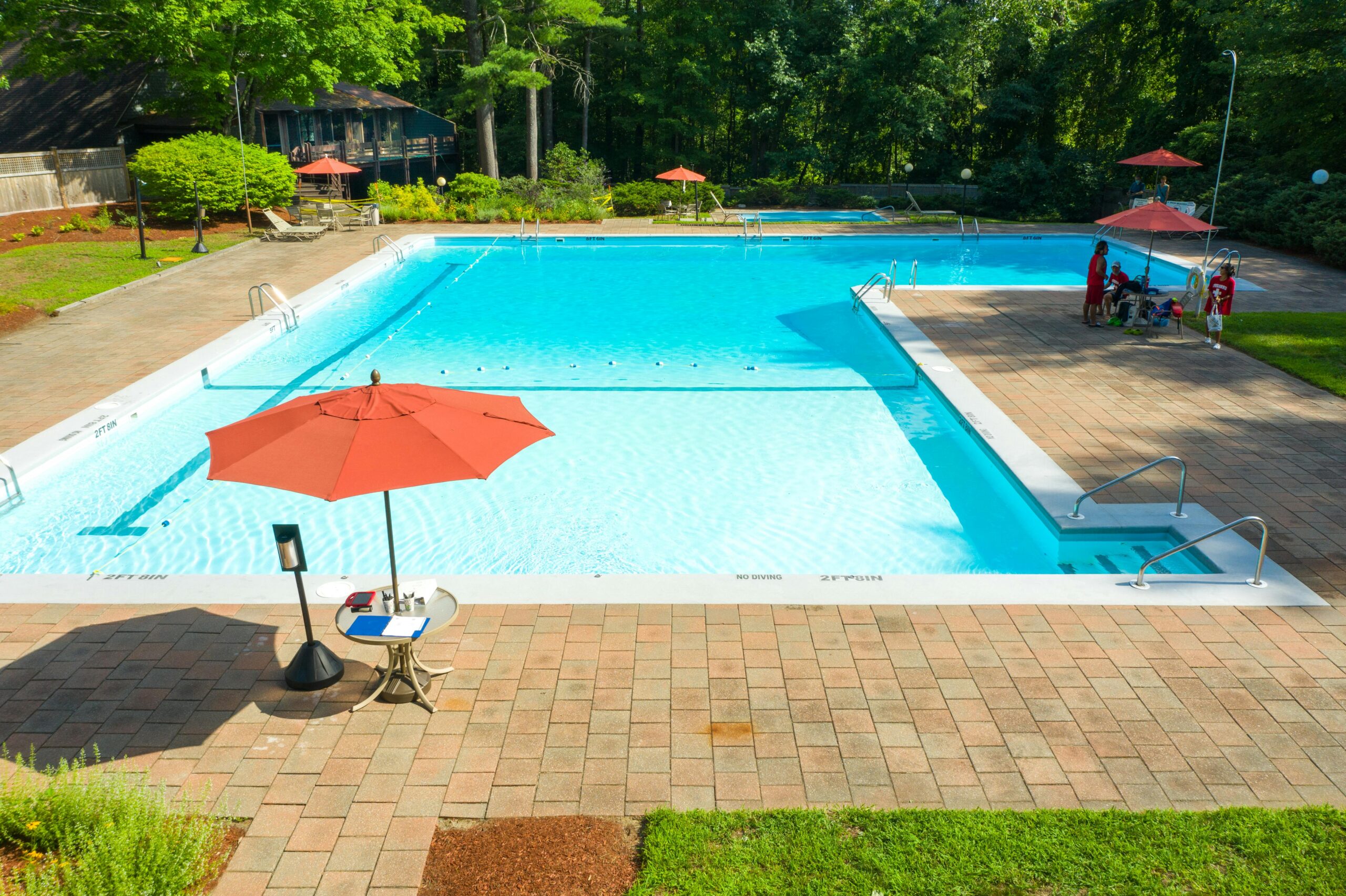 Affordable Outdoor Swimming Pools: Cost-Effective Backyard Pool Ideas
