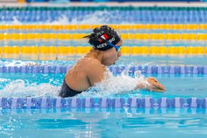 Indoor Olympic-size Pool: Dimensions, Cost & Design Guide