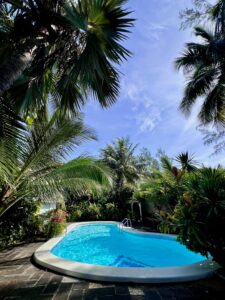 Kidney-Shaped Outdoor Pool: Design Ideas & Benefits