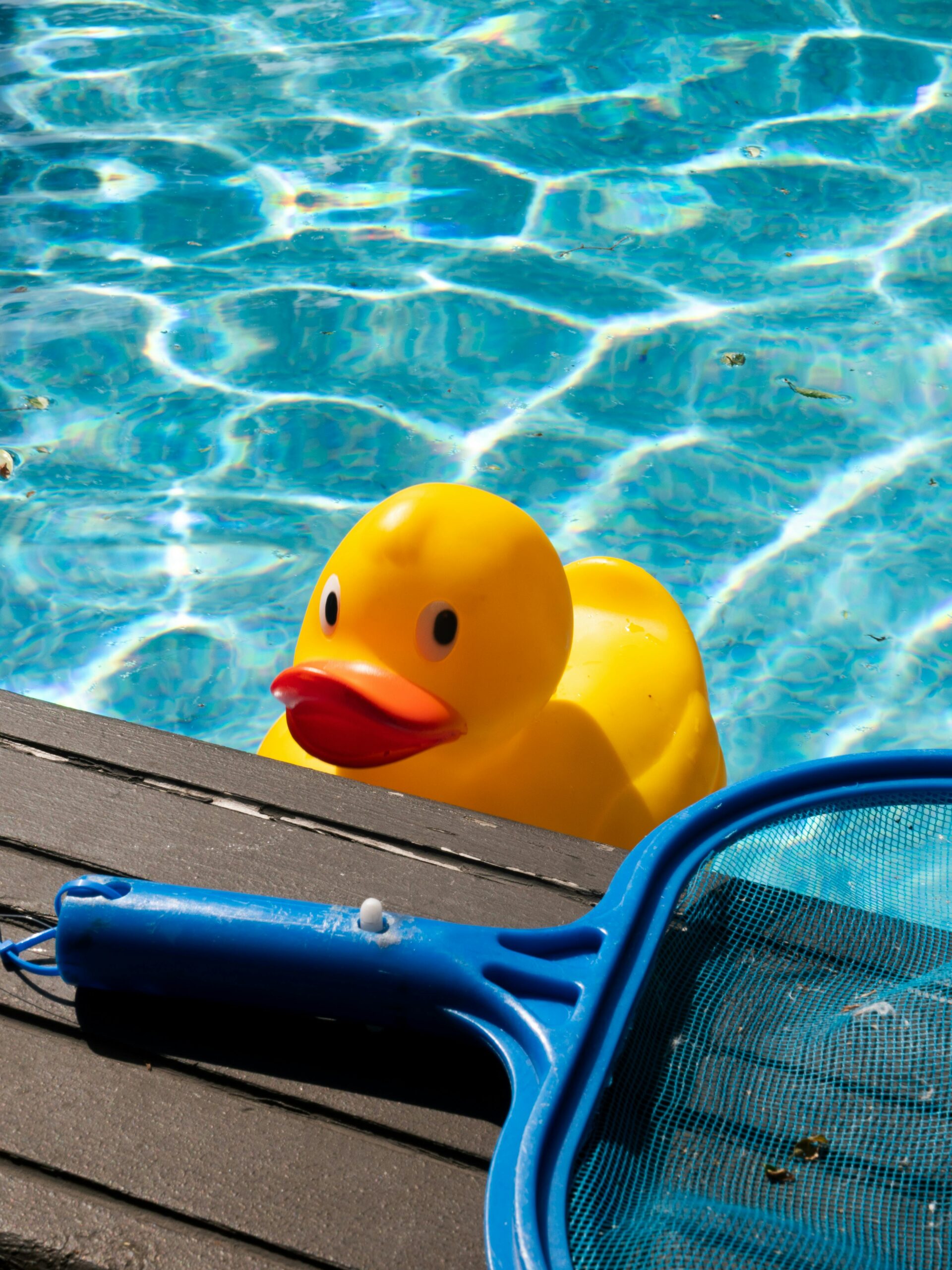 How to Clean an Outdoor Swimming Pool?