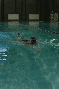 Indoor Swimming Pools in Phoenix: Best Design, Cost & Ideas
