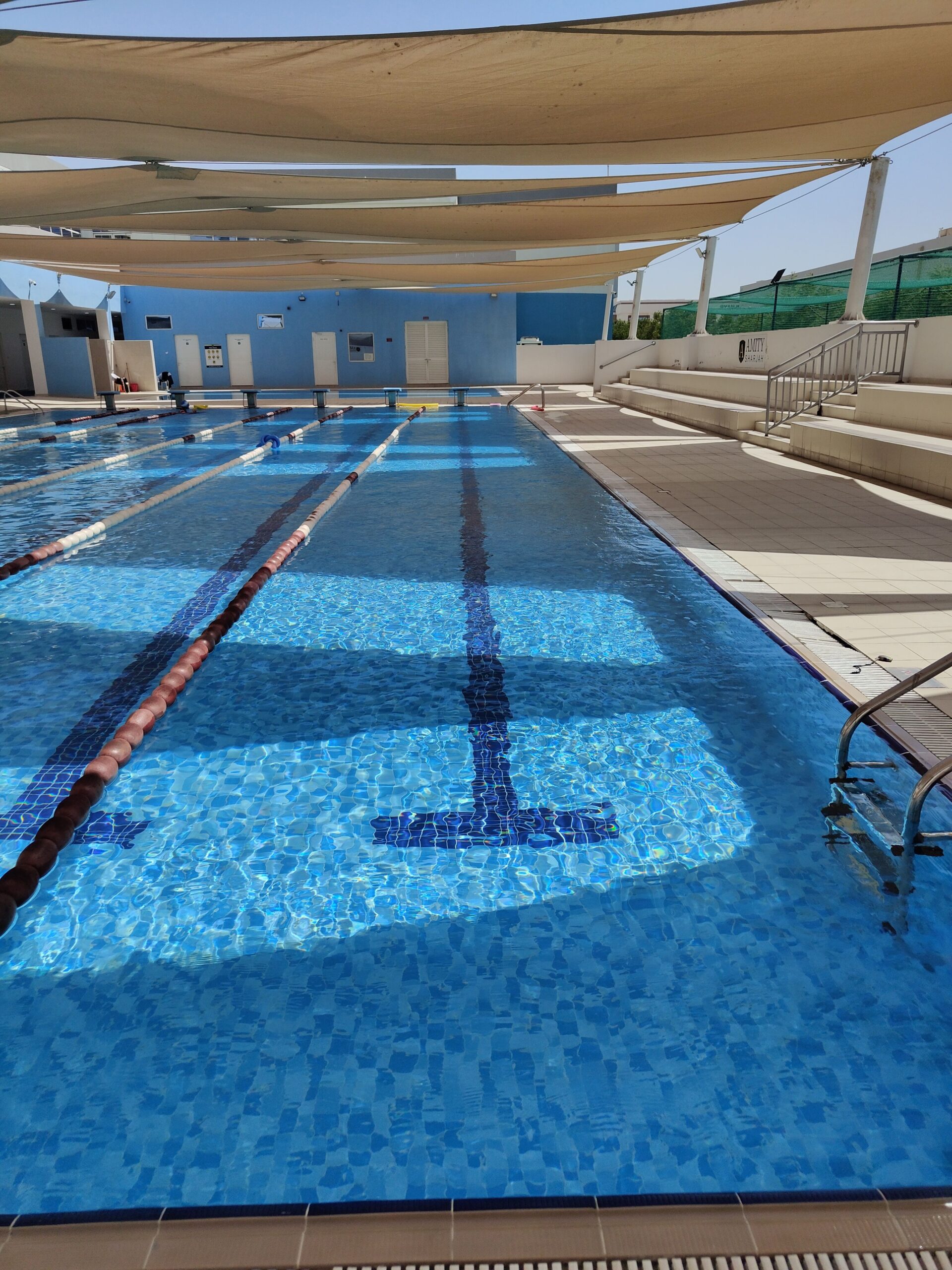 Swimming Pool Anatomy: A Complete Guide to Pool Parts & Functions