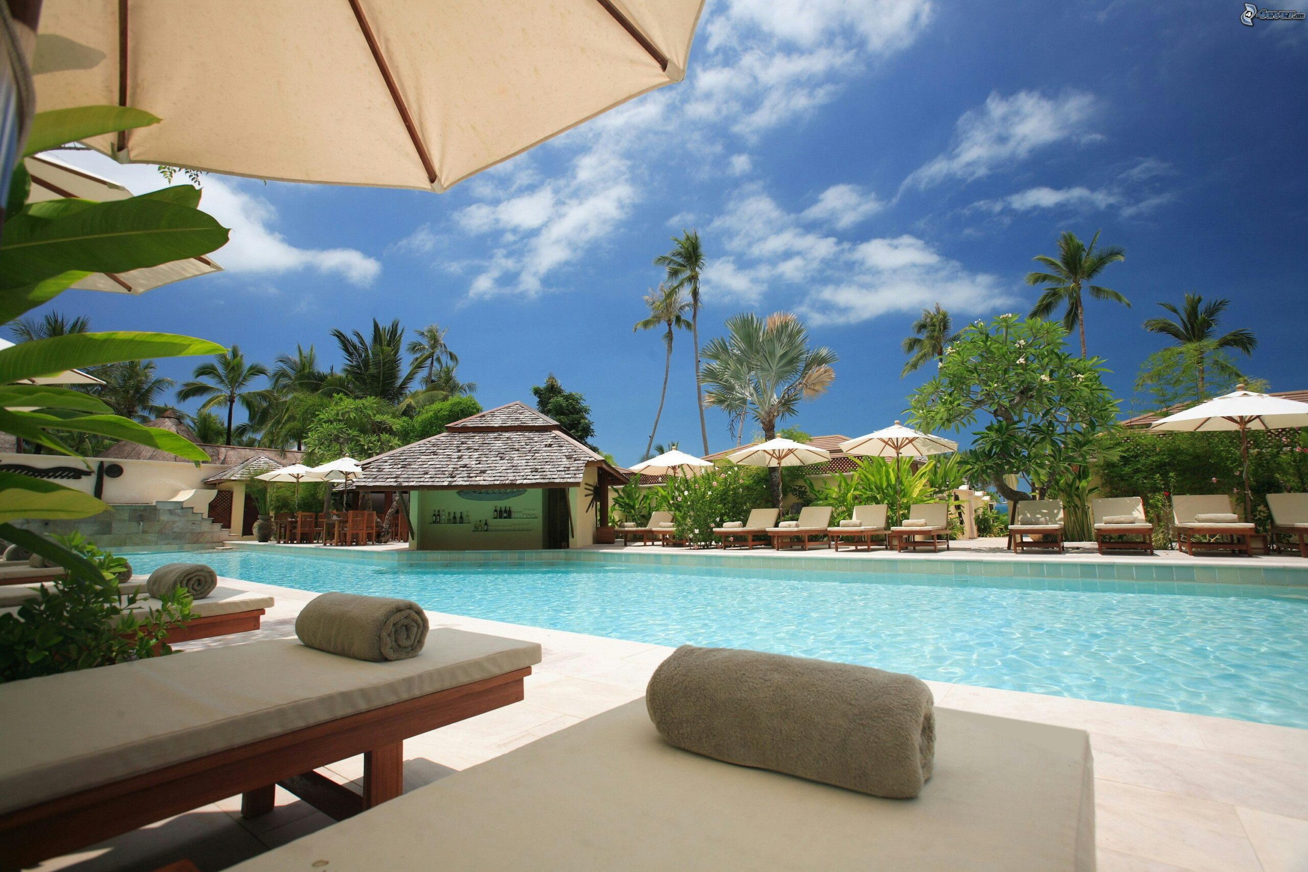 Beach-Entry Pool: Design Ideas, Benefits & Inspiration