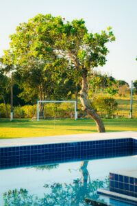 Cost to Build a Backyard Pool in 2026: Pricing, Factors & Best Tips